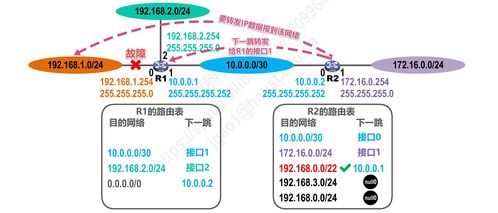 計算機網絡體系結構探析 聚焦網絡層與協(xié)議P4.2的演進